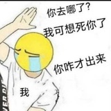 资深路人级