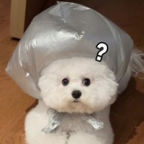 已注销