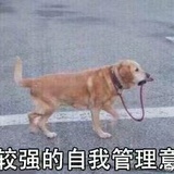 wainzheng