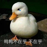 柒小七