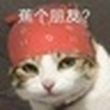 神明的少女