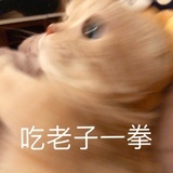 O(∩_∩)O