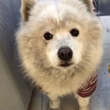 怀疑论者