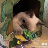 boo