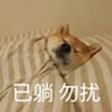 一块小电池