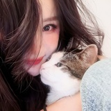 やのり婲