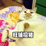 虫二