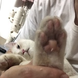 豆友209216968y
