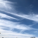 静待花开