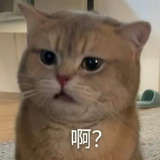 豆友209230403