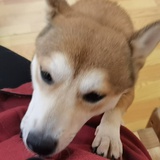 毕业真难