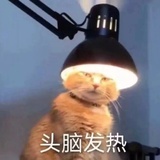 路过一下