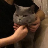 严浩翔