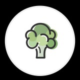 荔枝重度依赖