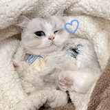 哽哽 ♥︎