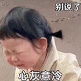 ( ･᷄ὢ･᷅ )