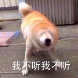 纱布洒