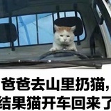 桃饱网会员