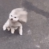可可可可可可