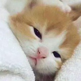 生气呢，别烦我