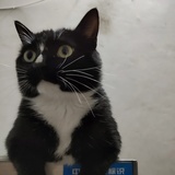 ID已:注销