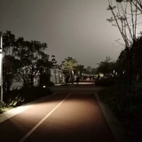 枫叶自知秋意道