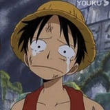 哈pipi
