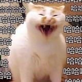 虽然但是
