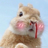 嗨老婆（自信