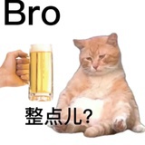 天天睡不醒