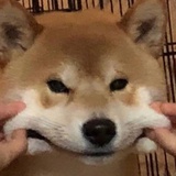 焄