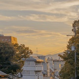 慈词伺此磁糍伺
