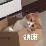 呜哩嘛嘿