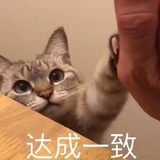 奇怪的知识