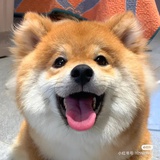 。。。。