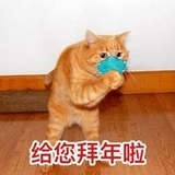假瓜里面扒真瓜
