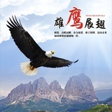 豆友209482240
