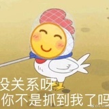 生如夏花