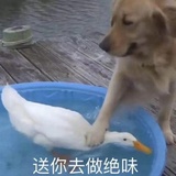 今天喝咖啡了吗