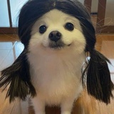 别管我了
