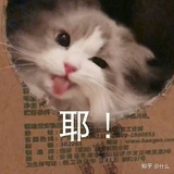 豆友209574664
