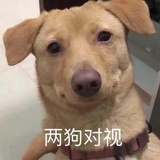 夏日甜心可爱多