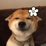 龟斯