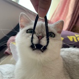 Õ