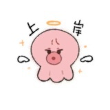 芝士耶耶