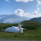 北方企鹅_