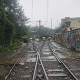 chuking/Peking