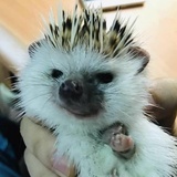 巨石之下