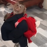 ww