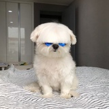 网易宝取消赞.